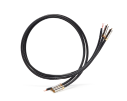 SHUNYATA GAMMA INTERCONNECT - PHONO